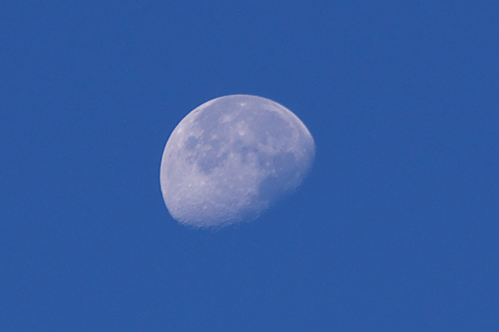 Una luna matutina